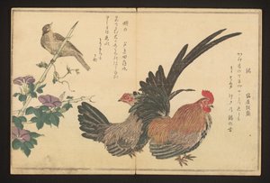 Hahn und Ammer von Kitagawa Utamaro