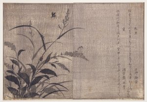 Grille und Glühwürmchen, 1788 von Kitagawa Utamaro