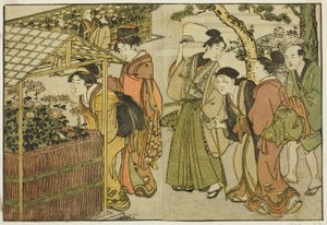 Ausstellung von Chrysanthemen, aus dem illustrierten Buch "Bilderbuch: Blumen der vier Jahreszeiten (Ehon shiki no hana)," Bd. 2 von Kitagawa Utamaro