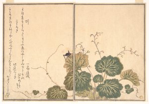Regenwurm (Mimizu); Grille (Kōrogi), aus dem Bilderbuch der kriechenden Kreaturen (Ehon mushi erami) von Kitagawa Utamaro