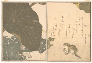 Frosch (Kaeru); Goldkäfer (Kogane mushi), aus dem Bilderbuch der kriechenden Kreaturen (Ehon mushi erami) von Kitagawa Utamaro