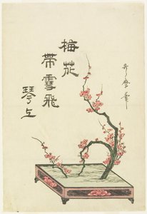Ikebana-Arrangement eines Pflaumenzweigs von Kitagawa Utamaro