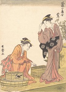 Japanische Buschgrasmücke, 1754-1806