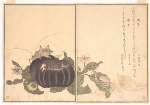 Landschnecke (Katatsumuri); Riesenkäfer (Kutsuwamushi), aus dem Bilderbuch der kriechenden Kreaturen (Ehon mushi erami) von Kitagawa Utamaro