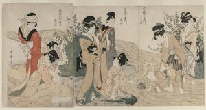 Provinzen Musashi, Omi, Yamashiro und Settsu von Kitagawa Utamaro