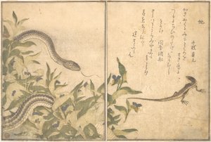 Rattenschlange (Hebi); Eidechse oder Skink (Tokage), aus dem Bilderbuch der kriechenden Kreaturen von Kitagawa Utamaro
