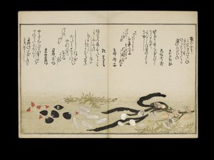 Shiohi no tsuto (Geschenke von der Ebbe), bekannt als das Muschelbuch, 1789 von Kitagawa Utamaro