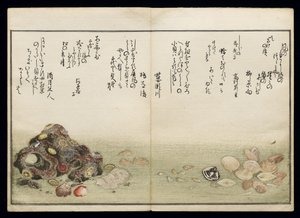 Shiohi no tsuto (Geschenke von der Ebbe), bekannt als das Muschelbuch, 1789 von Kitagawa Utamaro