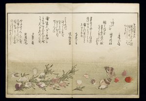 Shiohi no tsuto (Geschenke von der Ebbe), bekannt als das Muschelbuch, 1789 von Kitagawa Utamaro