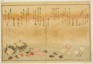 Shiro-gai, namima-gashiwa, makura-gai, iro-gai, aza-gai, sadae-gai, aus dem illustrierten Buch "Geschenke von der Ebbe (Shiohi no tsuto)" von Kitagawa Utamaro