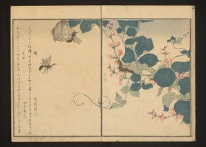 Wespen und behaarte Raupe auf Pfeilwurz von Kitagawa Utamaro