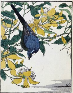 Vogel auf einem Baum. Japanische Zeichnung von Kitao Kosuisai