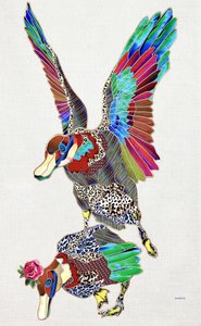 Bunte gemusterte Enten von Kostyantin Malginov