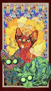Bunte Sphynx-Katzen