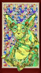 Lebendiger Sphynx-Katze