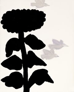 Sonnenblume2