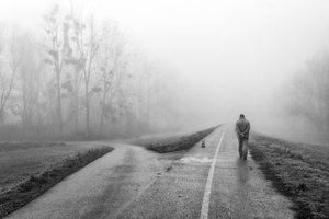 Neblige Straßenentscheidungen von Krunoslav Nevistic
