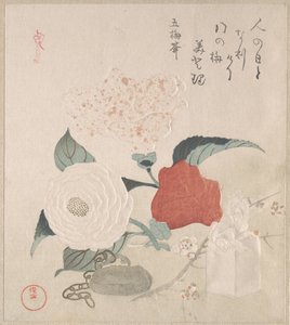 Kamelienblüten, ein Netsuke und ein Siegel von Kubo Shunman