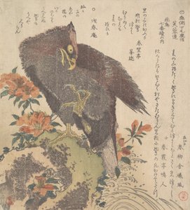 Adler auf einem Felsen, blühende Azaleen, ca. 1800