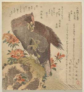 Adler mit erhobener Kralle auf einem Felsen bei einem Azaleenbusch von Kubo Shunman