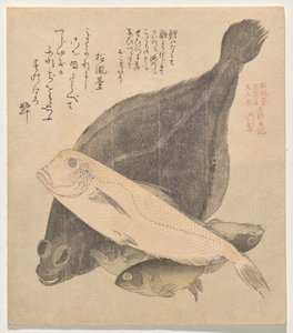 Flunder, Kachelbarsch und drei Karauschen, aus der Serie Tosa Tagebuch (Tosa nikki) von Kubo Shunman