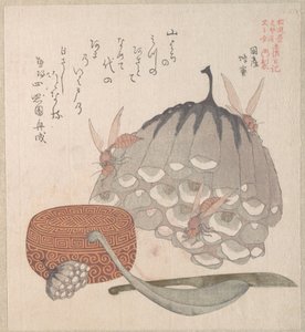 Bienenstöcke mit Wespen und eine Schachtel mit einem Löffel für Honig von Kubo Shunman