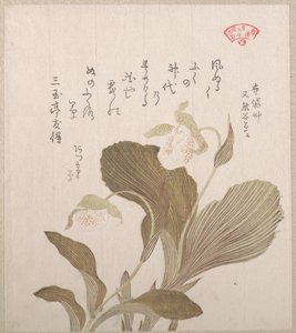 Hotei Blumen von Kubo Shunman
