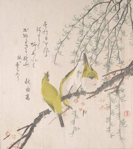 Japanische Weißaugen mit Pflaumenbaum und Weide..., ca. 1810 von Kubo Shunman