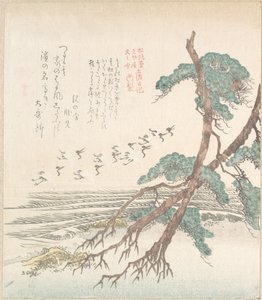 Landschaft am Meer mit Kiefern und fliegenden Kranichen von Kubo Shunman