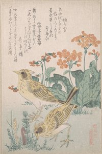  von Kubo Shunman