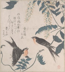Schwalben und Wisteria von Kubo Shunman