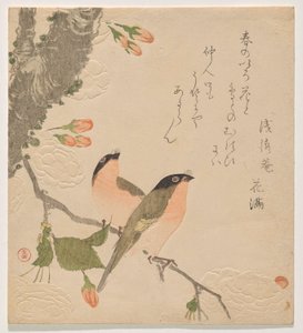 Zwei Gimpel auf einem doppelt gefüllten Kirschbaum (Uso ni Yae-zakura) von Kubo Shunman