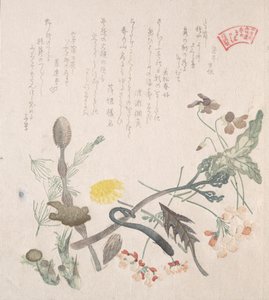 Veilchen, Primeln und andere Frühlingsblumen, 19. Jahrhundert von Kubo Shunman