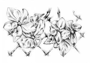 Zarte Blumenzeichnung