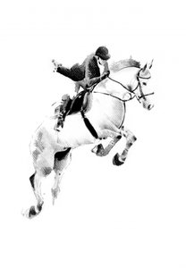 Fallender Reiter im Springreiten