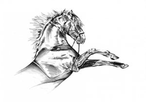 Pferd 72