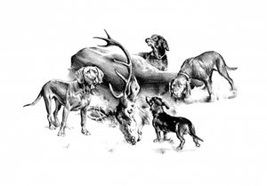Jagdhunde und Hirsch
