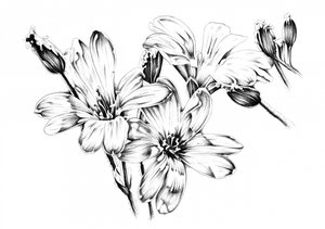 Monochrome Blumenblüten