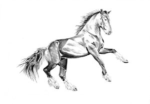 Steigendes majestätisches Pferd