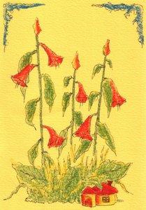 Rote Glockenblumenhaus