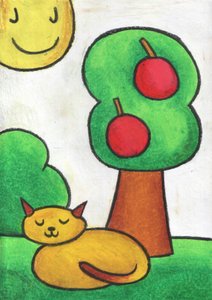 Schlafende Katze sonniger Tag