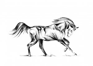 Stilisierte Pferdezeichnung