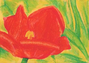 Lebhafte rote Tulpe