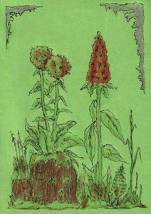 Verspielte Gartenpflanzen
