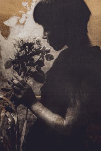 Ruhiger Rosenmoment von Kurosaki Sangan