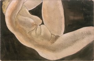 Weiblicher Akt mit hochgestelltem Bein