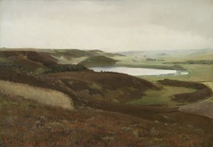 Eine Landschaft bei Bryrup, Jütland