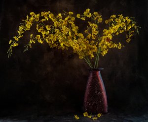 Goldene Orchidee Stillleben