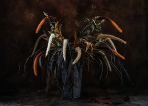 Stimmungsvolle Getrocknete Botanicals von LM Meng