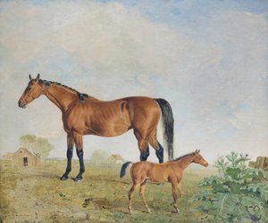 Mr. Youngs Pferde, Benjamin und Lambert Marshall von Lambert Marshall